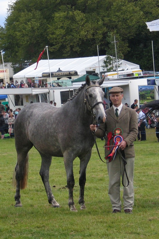 Nigel Moore with Tullys Crieve at Castlewellan Show