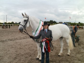 horse