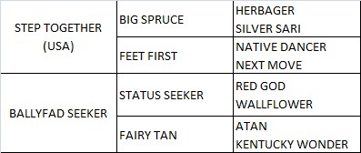 Saracen Hill pedigree