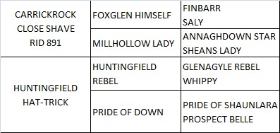 Carrickcottage Star pedigree