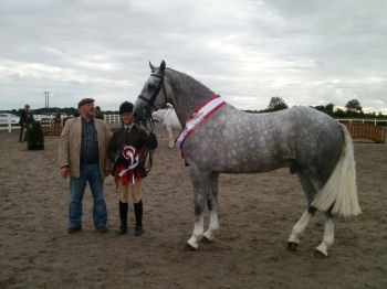 horse