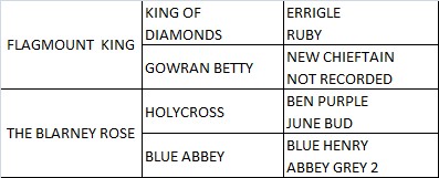 Prescotts diamond pedigree