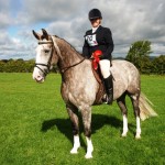 Temple Samero horse