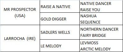 Golden Lariat pedigree