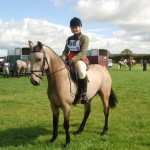 The General horse