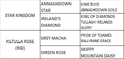 King Of Mourne pedigree