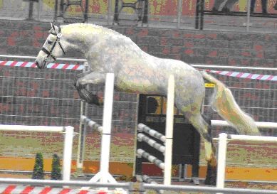 carrickcottage star