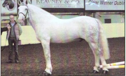 prescotts diamond